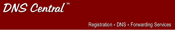 DNS Central:  Registration + DNS + Forwarding Services